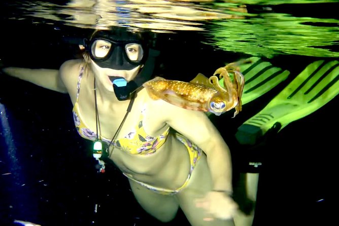 Night Snorkeling - Observation of octopus and other species - Night Water, Small Area, Big Feel