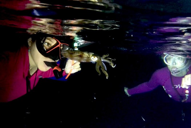 Night Snorkeling - Observation of octopus and other species - Meet the Guides: Lalo, Eduardo, Daniel, Miranda, Dany, and Miri