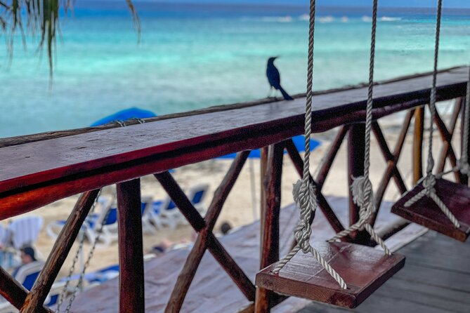 North Shore E-Bike & Beach Break - Mirador Puerto de Abrigo: The Riviera Maya Views in About 20 Minutes