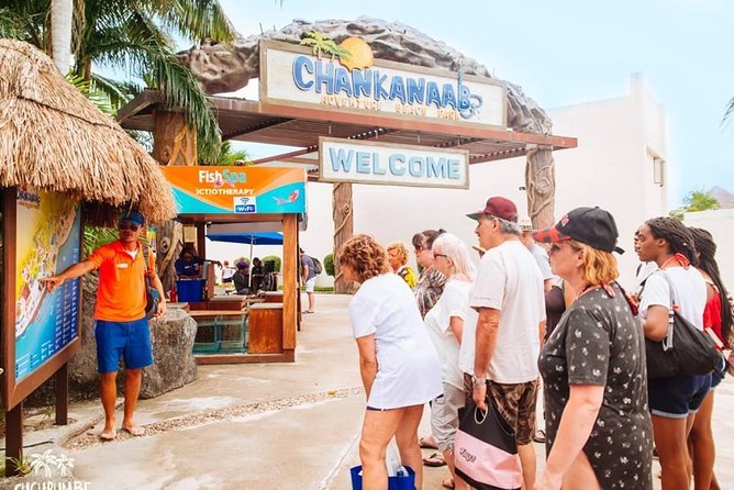 Official Chankanaab Beach Park Day pass with Snorkel - Price and fees: how value works here (and what might cost extra)