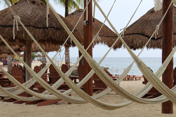 Official Chankanaab Park Day pass and Snorkel with Lunch included - Lunch by the seashore, limited drinks, and how to avoid surprises