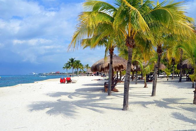 Official Chankanaab Park Day pass and Snorkel with Lunch included - Quick booking and day-of tips that help a lot