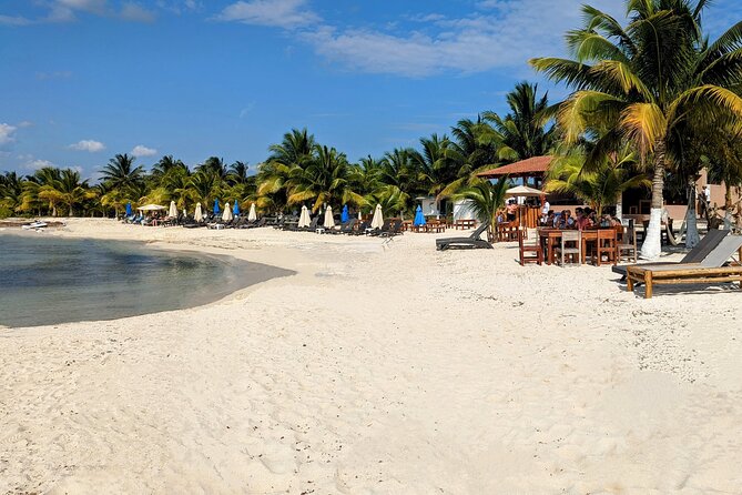 Open Top City Tour & Beach Break - Why This Cozumel Half-Day Works for Cruise Days
