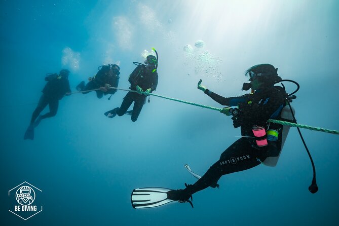 Open Water Course Cozumel - How the PADI Open Water plan works, from theory to real skills