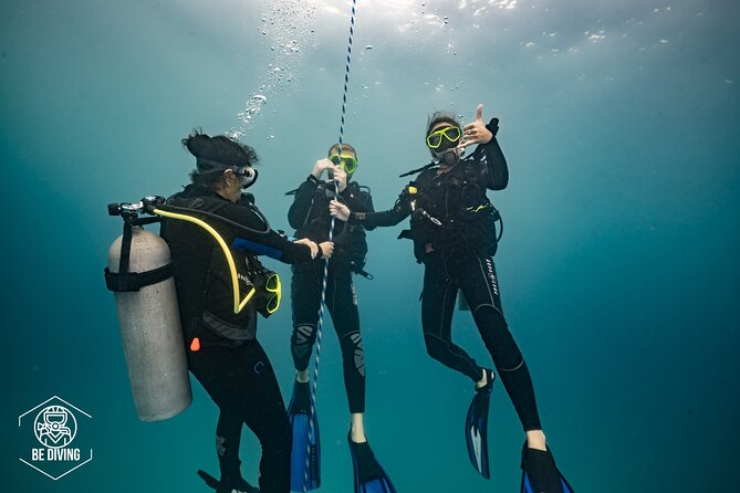 Open Water Course Cozumel - Marine conservation lessons, and what responsible behavior looks like