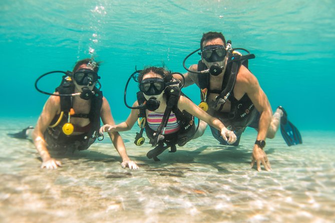Open Water Course Cozumel - Price and value: what you get for about $600 per person