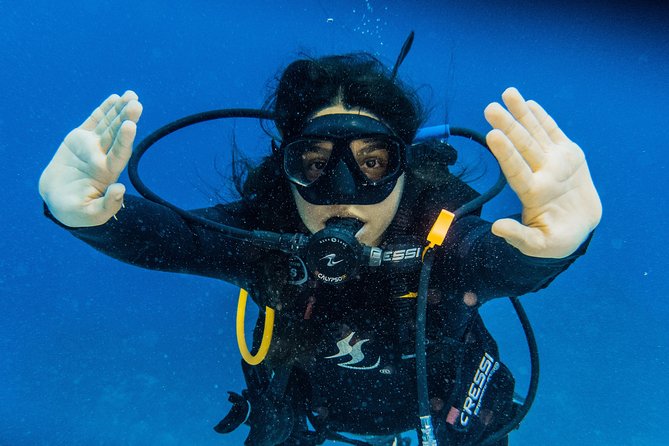 Open Water Course Cozumel - Who this Open Water course suits best in Cozumel