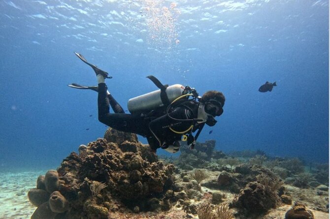 Open Water Diver Course - Key Highlights You’ll Care About in Cozumel