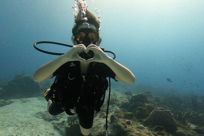 Open Water Diver Course - Day 1 and Day 2: Shallow-Water Training Full of Corals and Life