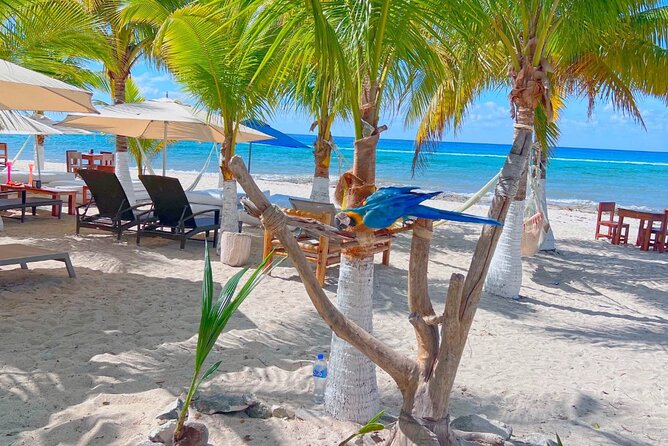 Otoch Mayan Experience Tour: Cultural & Historical Adventure - Food and drink: what is included, what is extra, and how to plan