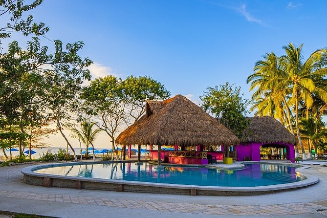 Playa Uvas Open Bar Exclusive Pass - Day-of tips so your time feels smooth