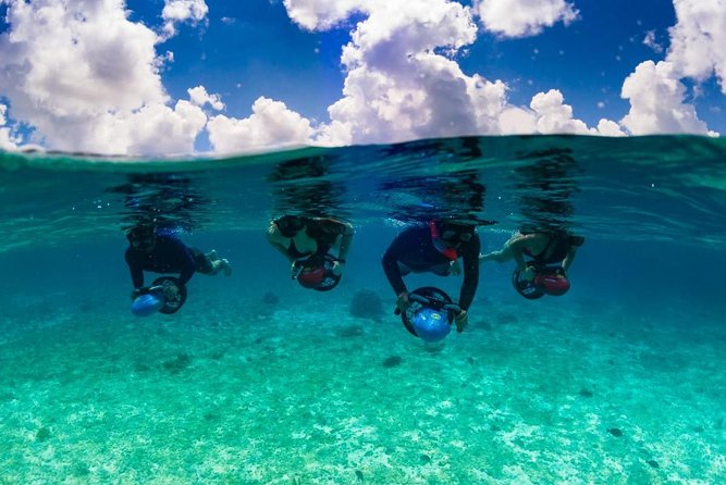 Power Snorkel by Sea Scooter & Flavored Tequila tasting - Stingrays, Starfish, and Sunken Wrecks, With Weather-Adjusted Routes