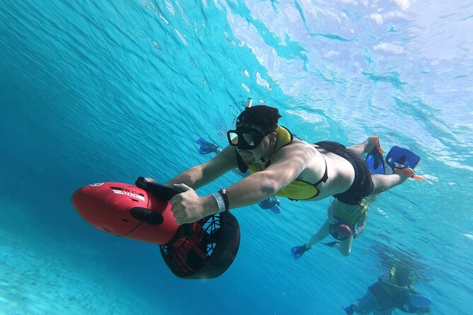 Power Snorkel By Sea Scooters & Tequila Tasting - What You’ll See Underwater: Fish, Coral, and Sting Rays