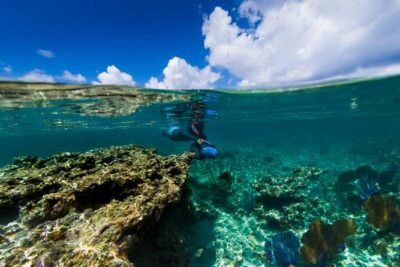 Power Snorkel By Sea Scooters & Tequila Tasting
