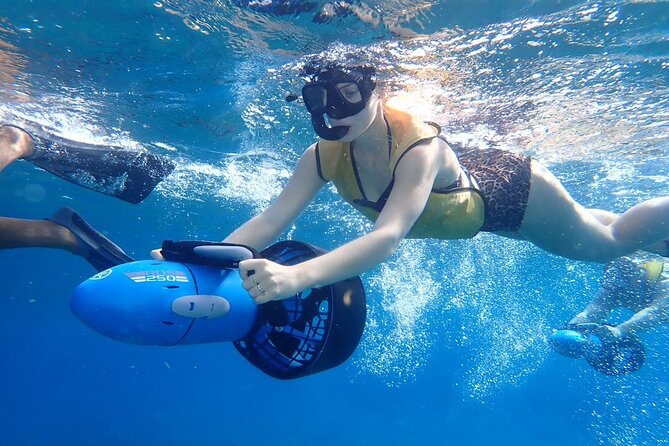 Power Snorkel By Sea Scooters & Tequila Tasting - Lunch at La Monina: Mexican Flavors You Actually Want