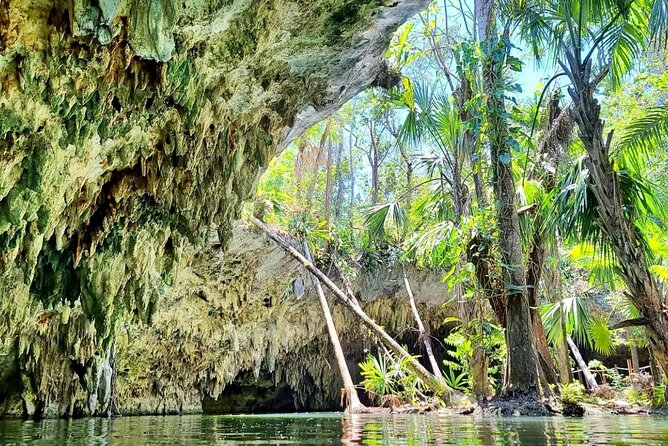 Private Buggy & ATV Tour to Jade Cavern Cenote: All-Inclusive - Getting on track with Cozumel time, pickup points, and timing