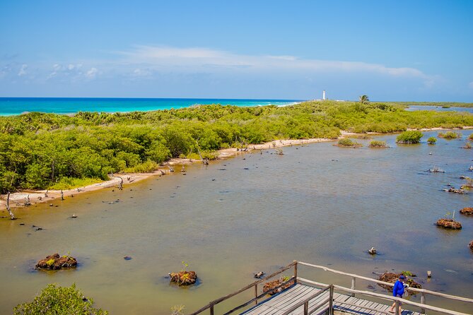 Private Buggy Tour and Punta Sur Park: All-Inclusive - El Mirador: Rocks, a Cave, and Blowholes for Quick Wow Photos