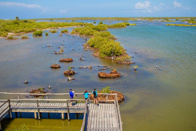 Private Buggy Tour and Punta Sur Park: All-Inclusive - Sabores Cozumel: Tequila Seminar and Chocolate Tasting