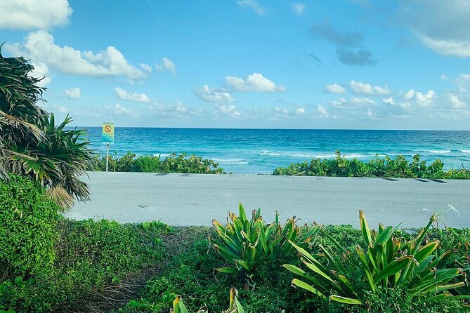 Private Buggy Tour in Cozumel, Snorkel & Lunch: All Inclusive - Stop 1: El Mirador rock formations, climbable views, and blowholes