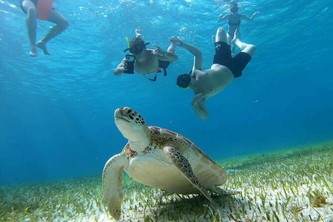 Private Catamaran Tour Charter Custom El Cielo and beach break - Key Things to Know Before You Go