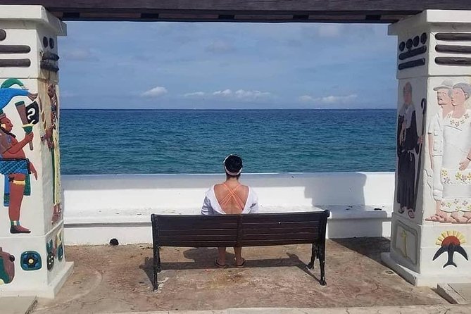 Private Cozumel accesible adventour en silla de ruedas - El Mirador: Included Viewpoint Time for Caribbean Photo Moments