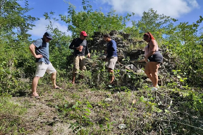 Private Cozumel Cave and Ruin Exploration Tour with Mexican Lunch - Price and logistics: where $110 really goes