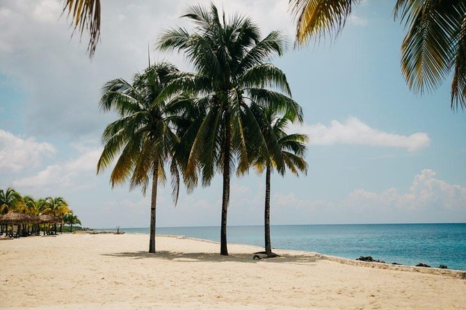 Private cozumel full day adventure - The private guide and air-conditioned ride, and why it matters