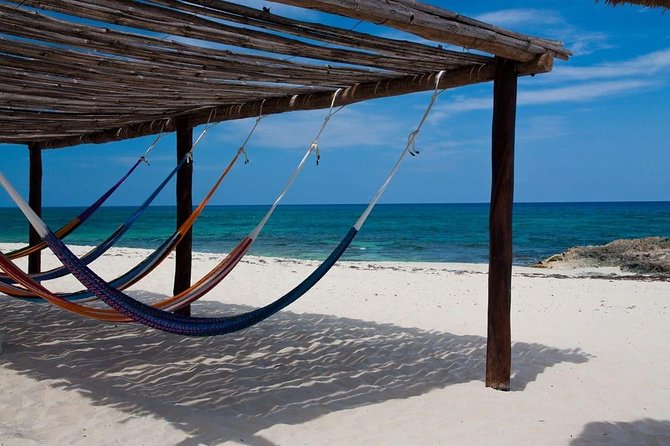 Private cozumel full day adventure - Shopping time that fits a cruise schedule