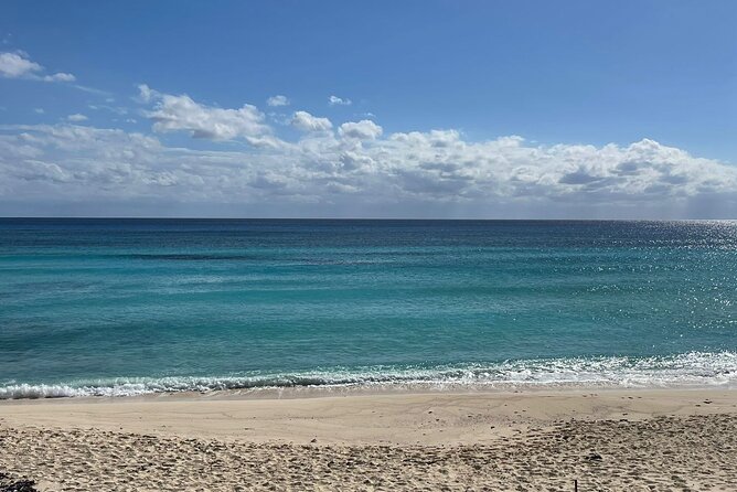 Private Cozumel Island Tour – Perfect Cruise Shore Excursion - A private Cozumel route that hits the reef and the beaches