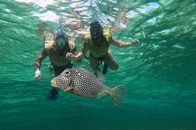 Private Cozumel Jeep and Jade Cavern Cenote Tour - Stop 4: Playa Chen Rio natural pool break
