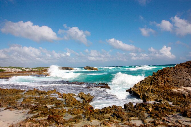 Private Cozumel Jeep and Jade Cavern Cenote Tour - Lunch fajitas and chocolate tasting, built-in comfort food