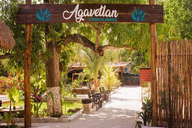 Private Jeep and 4x4 Polaris RZR Tour with Mexican Lunch - Sabores de Cozumel Park: RZR jungle track and hands-on tastings