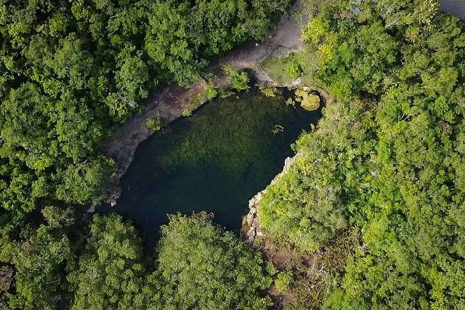 Private Jeep Cenotes Expedition in Cozumel - Key highlights you will care about