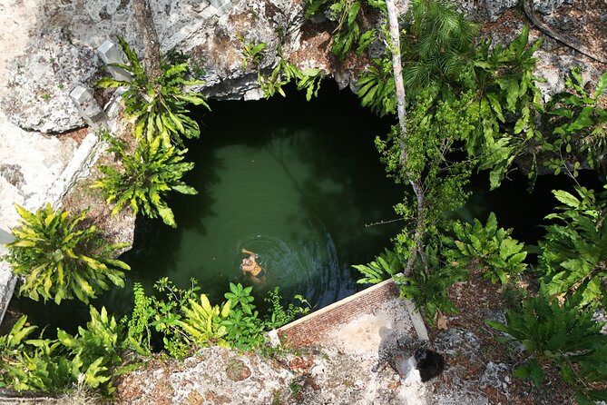 Private Jeep Cenotes Expedition in Cozumel – Swim & Mayan Park - Key highlights you should know before you go