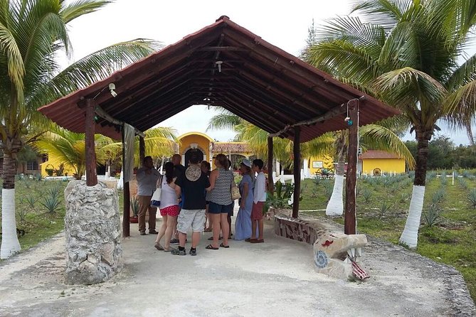 Private Jeep Excursion in Cozumel with Lunch and Snorkeling - El Mirador photo stop and San Gervasio ruins in one day