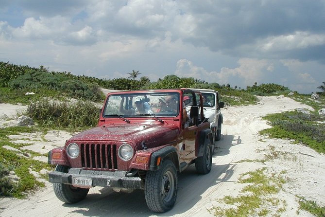 Private Jeep Experience Snorkel Tour, Cenote & Punta Sur Eco Park - The Guided Snorkel Portion: What You Get in About 1 Hour
