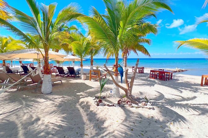 Private Jeep or Buggy Tour Snorkeling Maya Park and Tacos - Price and Value: Is $79 Worth It for This 4 to 5 Hour Mix?