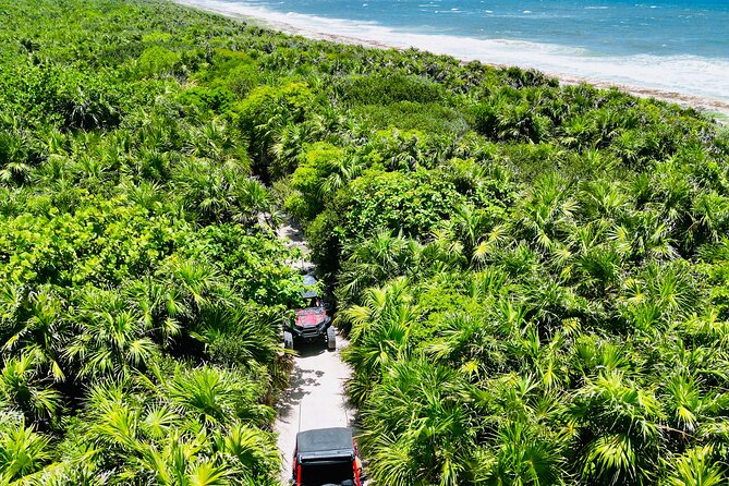 Private Jeep & Polaris RZR: San Gervasio Mayan Ruins & Snorkeling - San Gervasio Mayan ruins: sacred space, sensible walking time