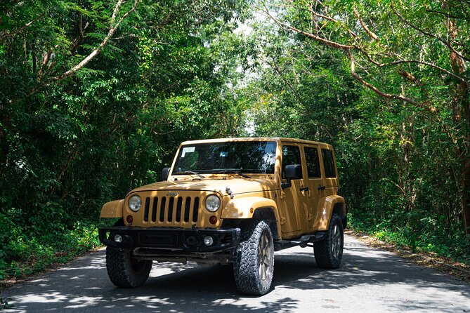 Private Jeep Tour Full Experience and ATV with Caverns & Cedral - Stop 1: Skyreef Beach Club Snorkeling, the Best Warm-Up for the Day