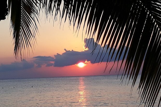 Private Jeep Tour in Cozumel - Playa Publica San Martin and Playa Chen Rio: quick photo wins on the east side