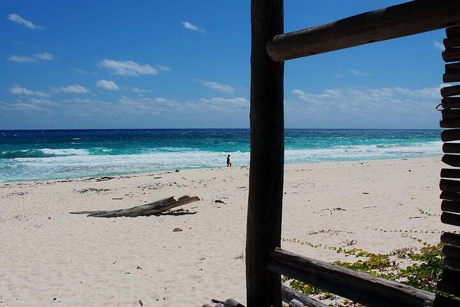Private Jeep Tour in Cozumel - Price and value: what you’re paying for in real life