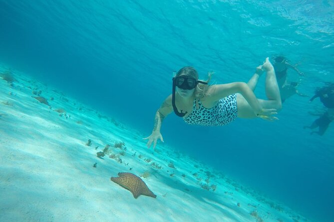 Private Sky Snorkeling Tour - Why This Private Cozumel Snorkel Feels More Personal Than Big Tours