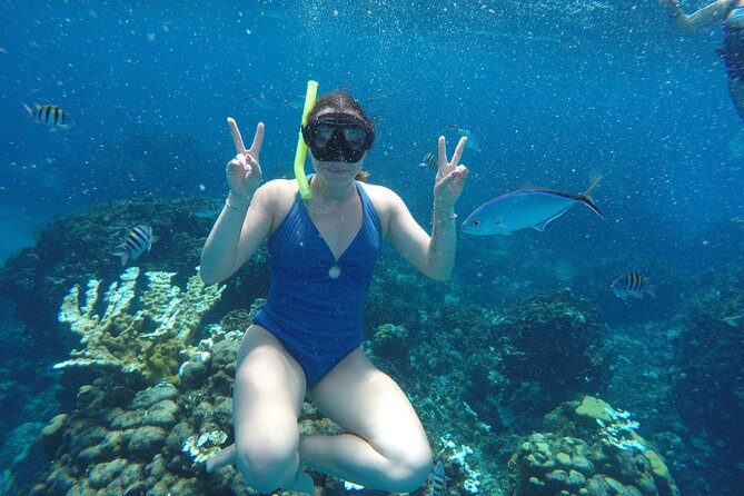 Private Sky Snorkeling Tour - Getting to Caleta Antigua and Starting Smoothly
