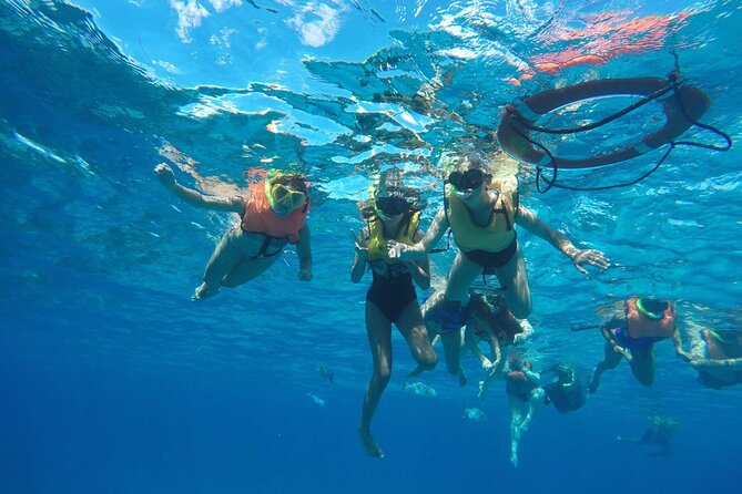 Private Sky Snorkeling Tour - Stop One Palancar Reef: Big Reef Energy in a 20-Minute Window