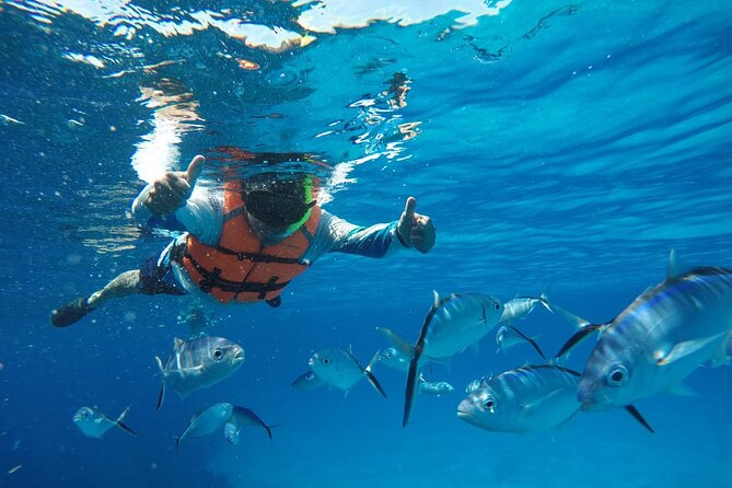 Private Sky Snorkeling Tour - Stop Two Columbia Reef: A Fast Hit of Fish and Coral