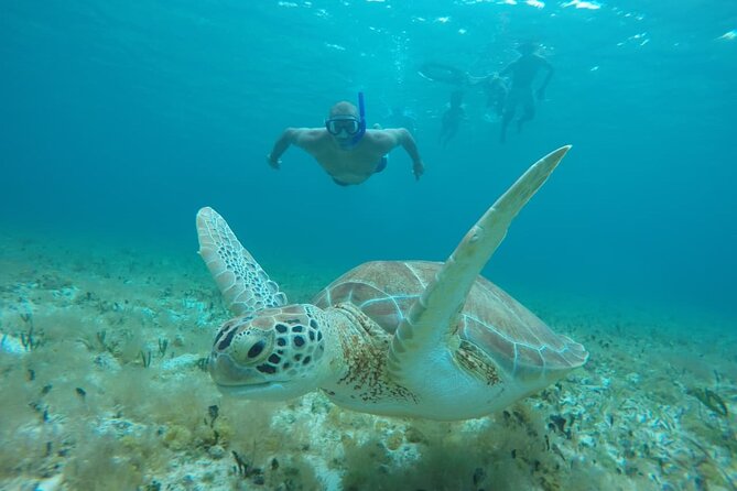 Private Sky Snorkeling Tour - Stop Three Playa El Cielo: The Sandpit-in-the-Sea Moment