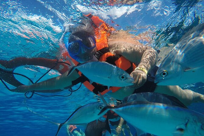 Private Sky Snorkeling Tour - Food, Drinks, and the Right Kind of Snorkel Break