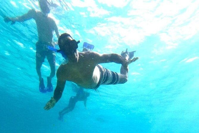 Private snorkeling tour to El Cielo - Palancar Reef: coral formations and serious fish watching