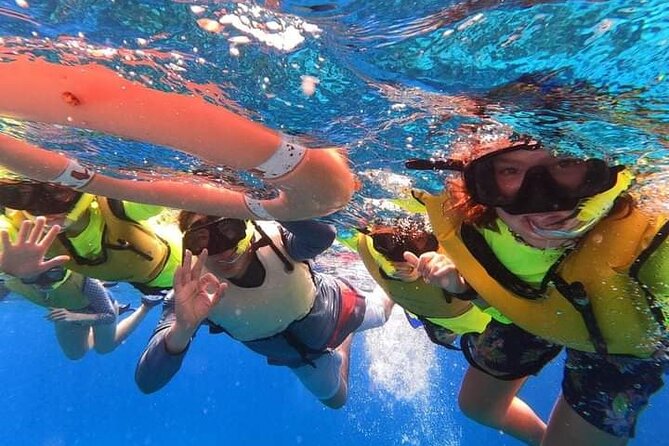 Private snorkeling tour to El Cielo - Columbia Reef: sea turtle odds with color and calm moments