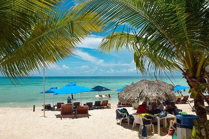 Private Tour: 5-Hour Cozumel Sightseeing with Private Driver and Tequila Tasting - Mi Mexico Lindo tequila tasting and the agave story for everyone